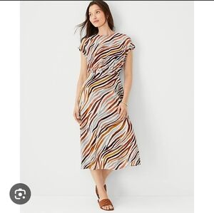 NWT Ann Taylor Dress Zebra Animal Print Linen Viscose Women's 8 Short Sleeves